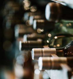 Vin tips – få mere ud af din vin